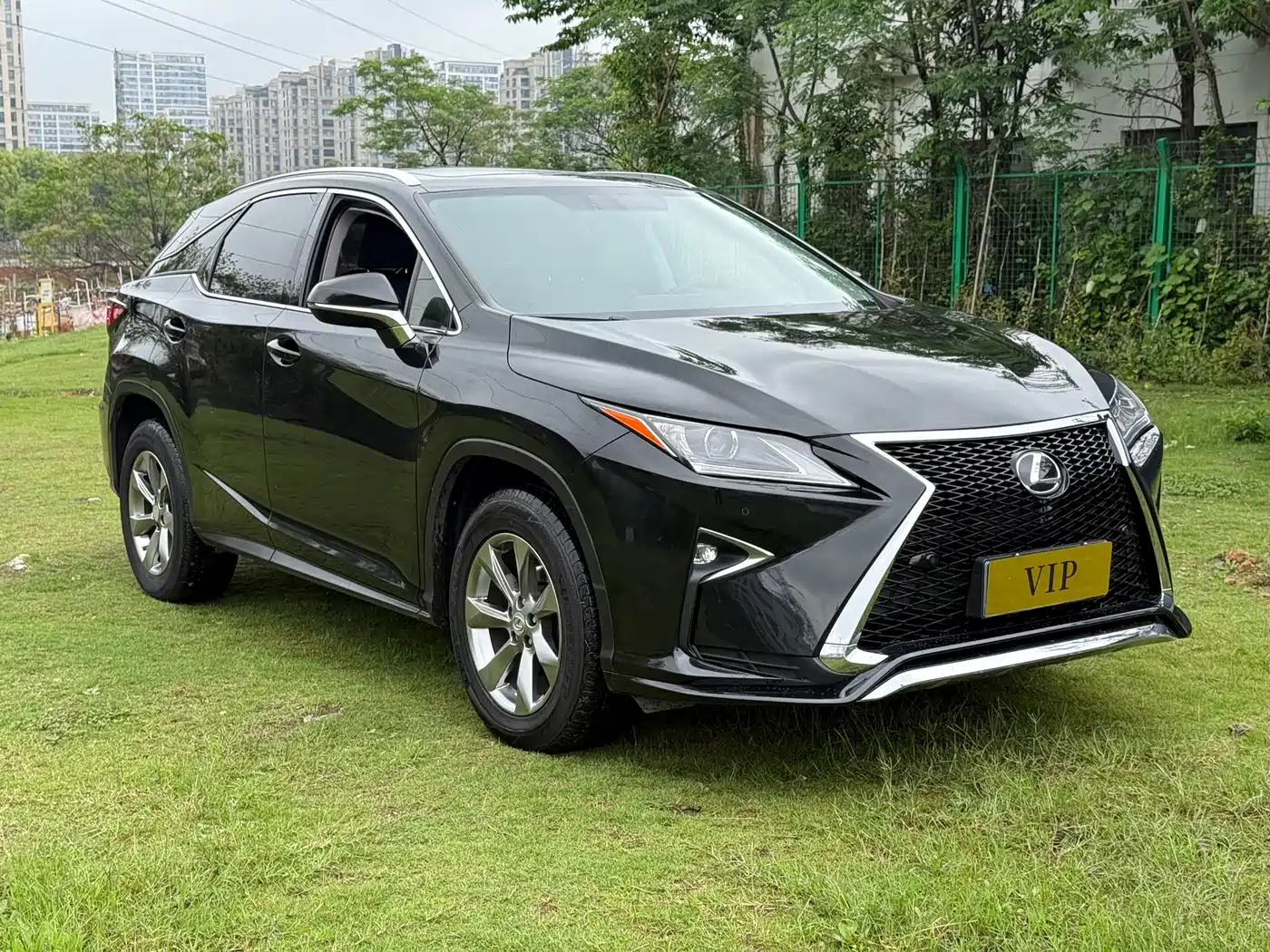 Lexus RX 2016 300 2WD Elite Edition (China V) фото 3
