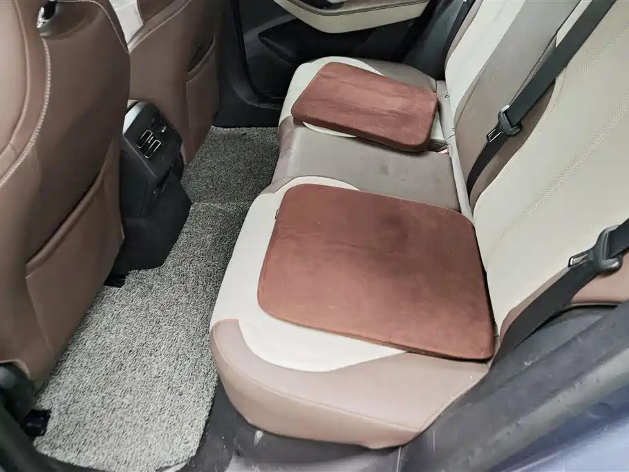 BYD Qin PLUS 2024 Glory Edition DM-i 55KM Leading фото 11