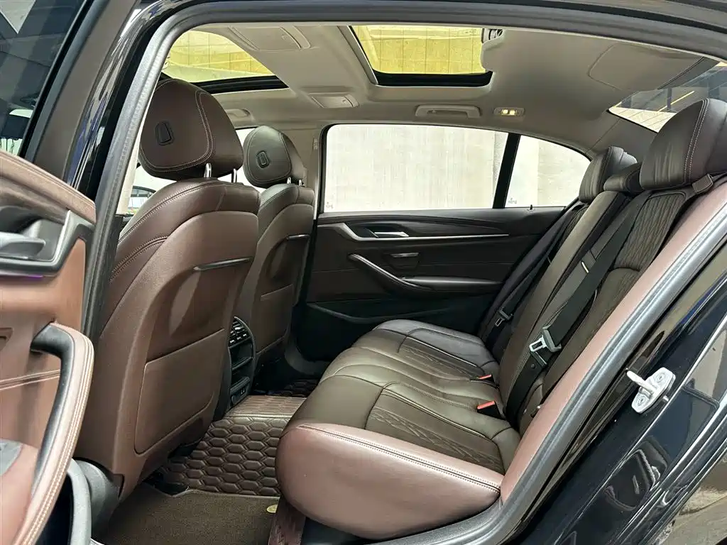 BMW 5 Series 2020 530Li xDrive Luxury Package фото 10