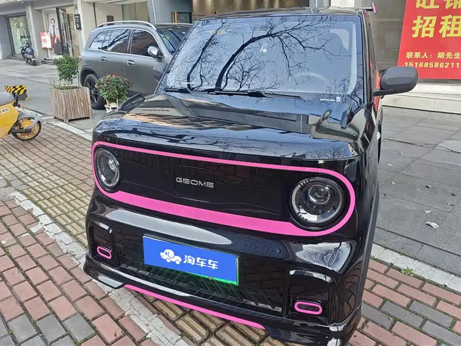 GEELY GALAXY PANDA