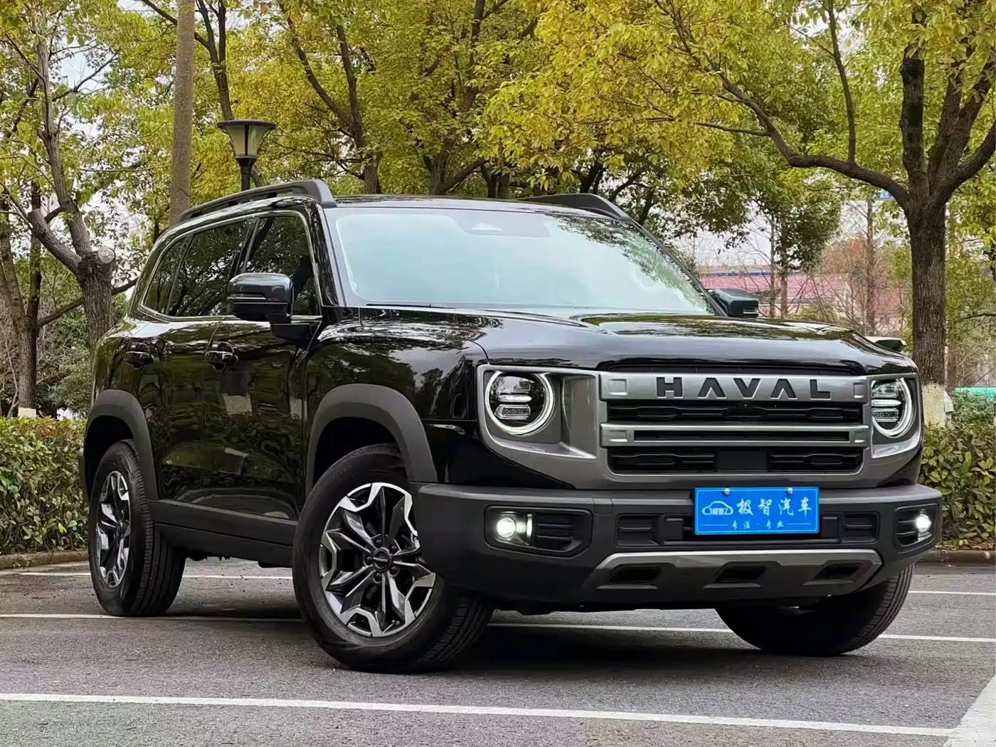 Haval Big Dog 2024 2.0T DCT Chinese Rural Dog Edition фото 9