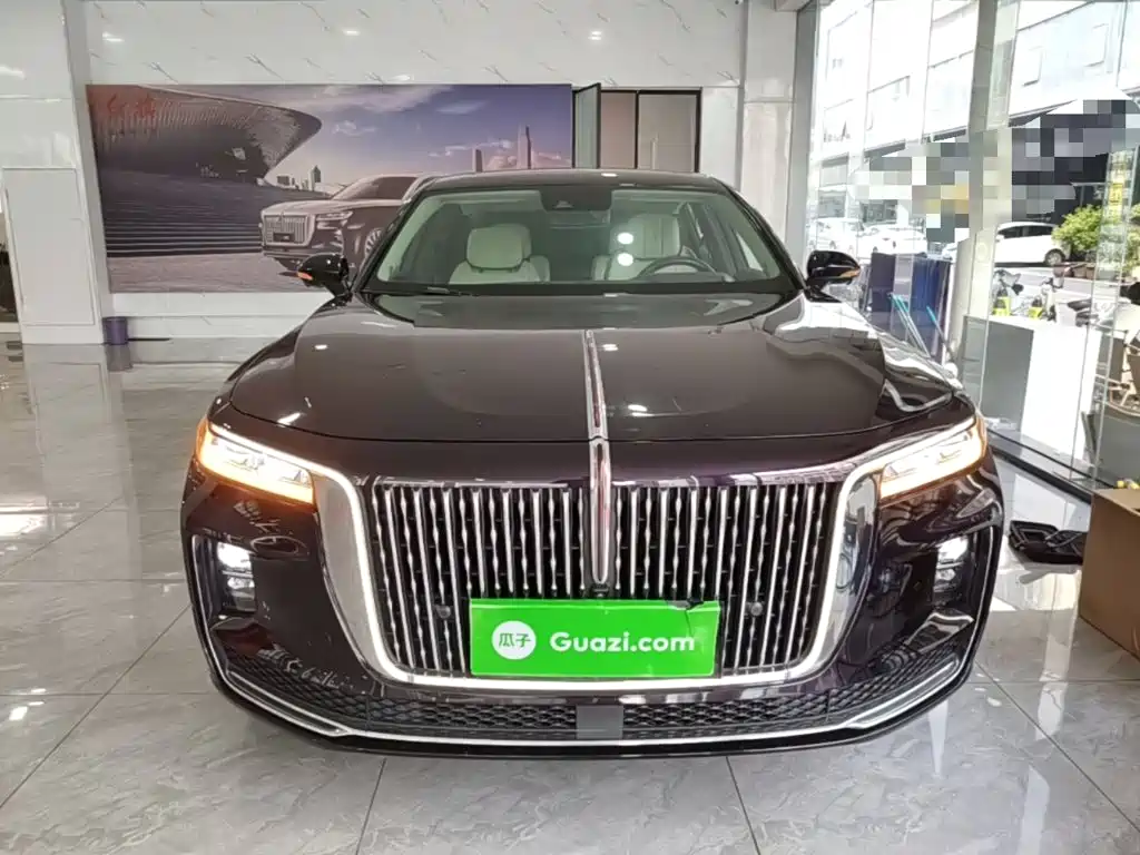 Фото 3 - Hongqi H9