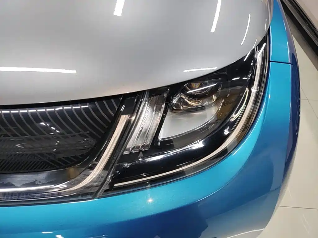 BYD Dolphin 2022 2021 401km Knight Edition