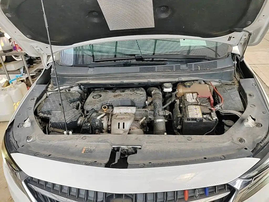 Фото 20 - Buick GL6