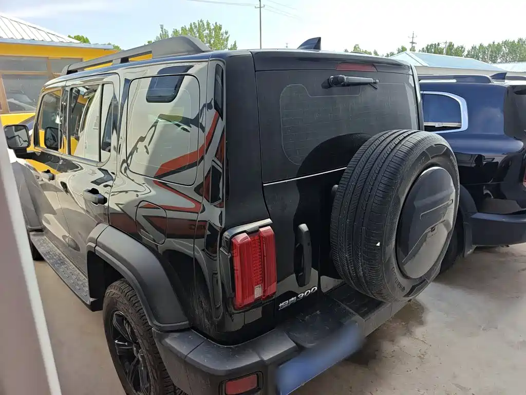 Tank 300 2021 2021 Off-road Version 2.0T Conqueror