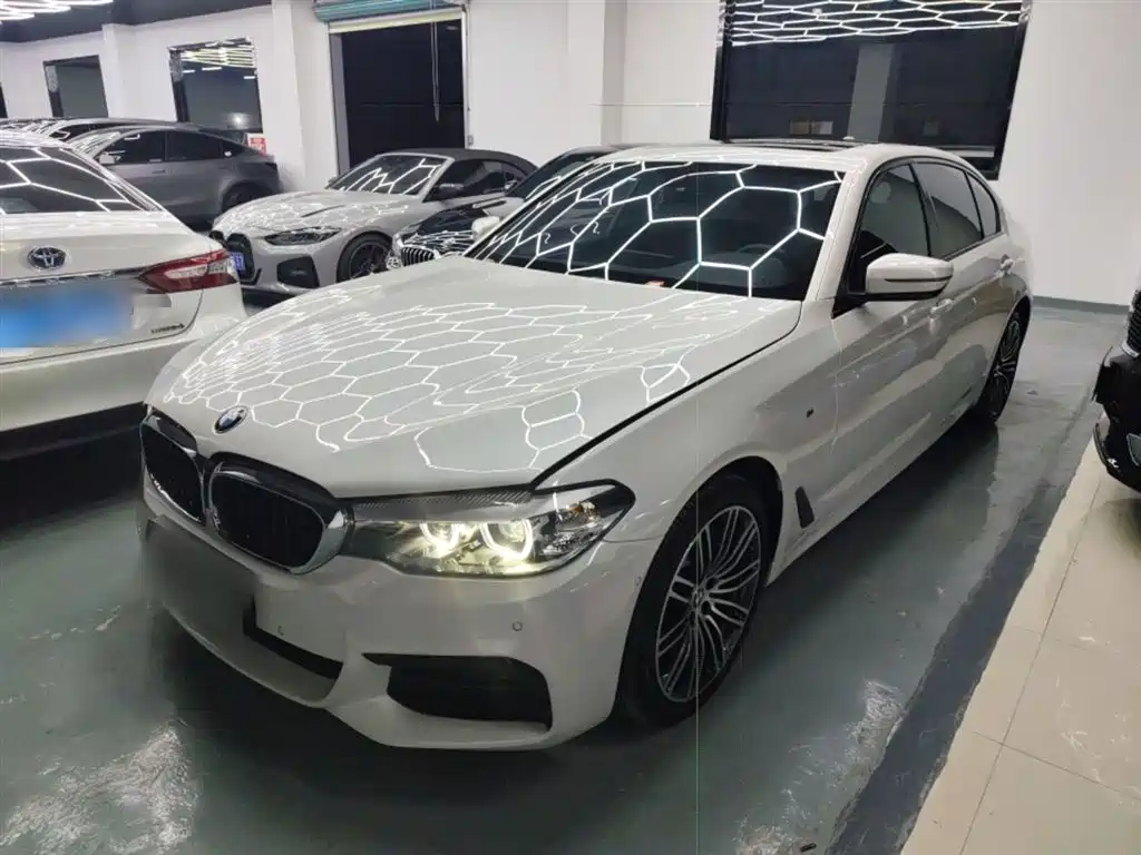 BMW 5 Series 2019 530Li Leading M Sport Package фото 2