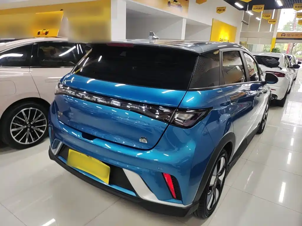 BYD Dolphin 2022 2021 401km Knight Edition