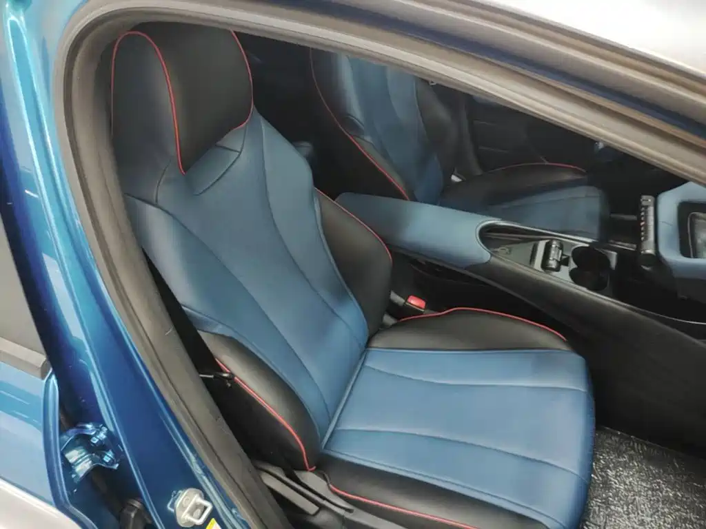 BYD Dolphin 2022 2021 401km Knight Edition