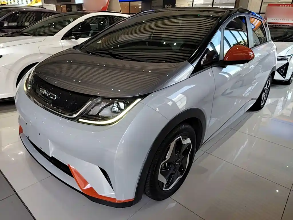 BYD Dolphin 2021 2021 Model 405km Fashion Edition