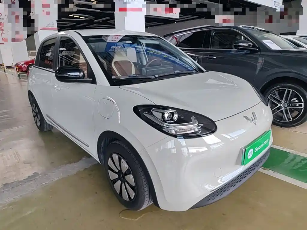 Wuling Motors Wuling Bingo 2023 2023 Model 203km Lite Enjoyment Edition