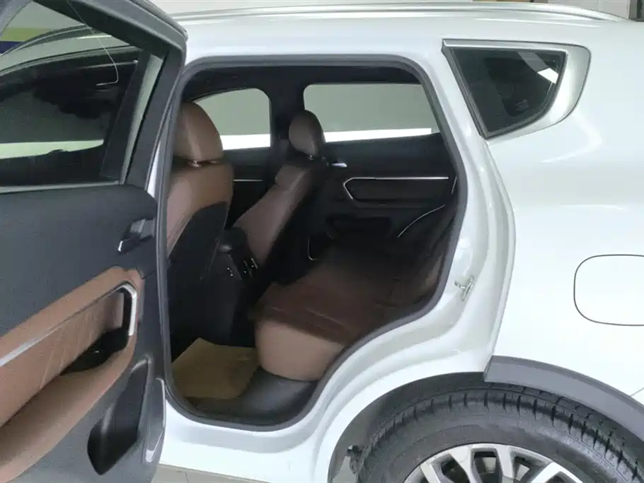 Haval H6 2017 Blue Label 2.0T Auto 2WD Leader фото 11