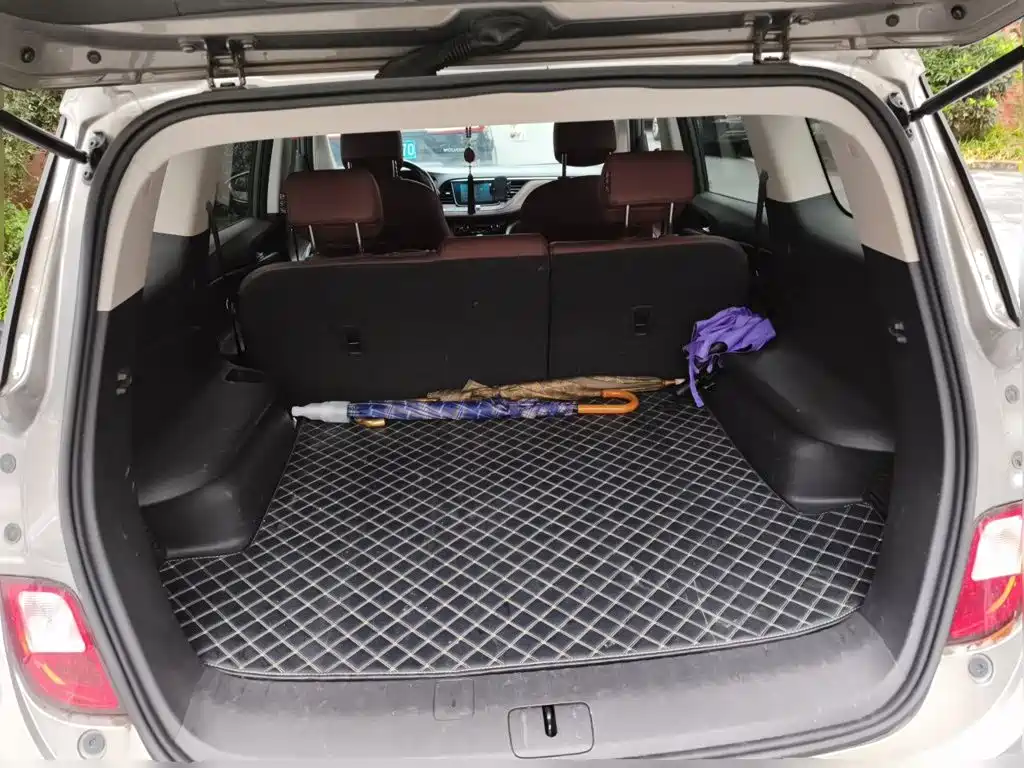 Фото 16 - Buick GL6