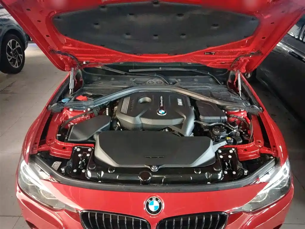 BMW 3 Series 2019 320Li M Sport Black Night Edition фото 16