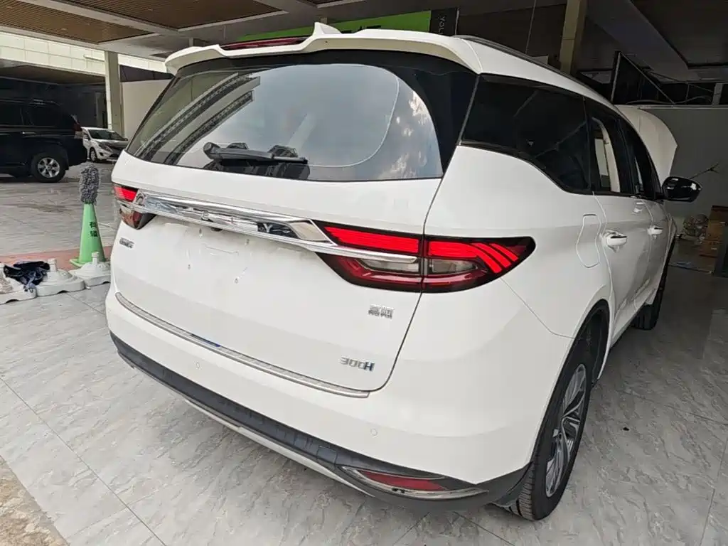 Geely Jiaji 2019 2019 1.5TD MHEV DCT Premium Edition