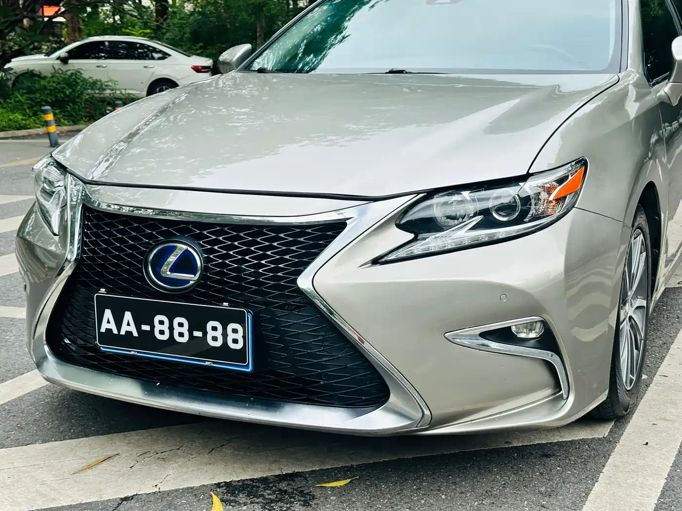 Lexus ES 2015 300h Comfort Edition фото 14