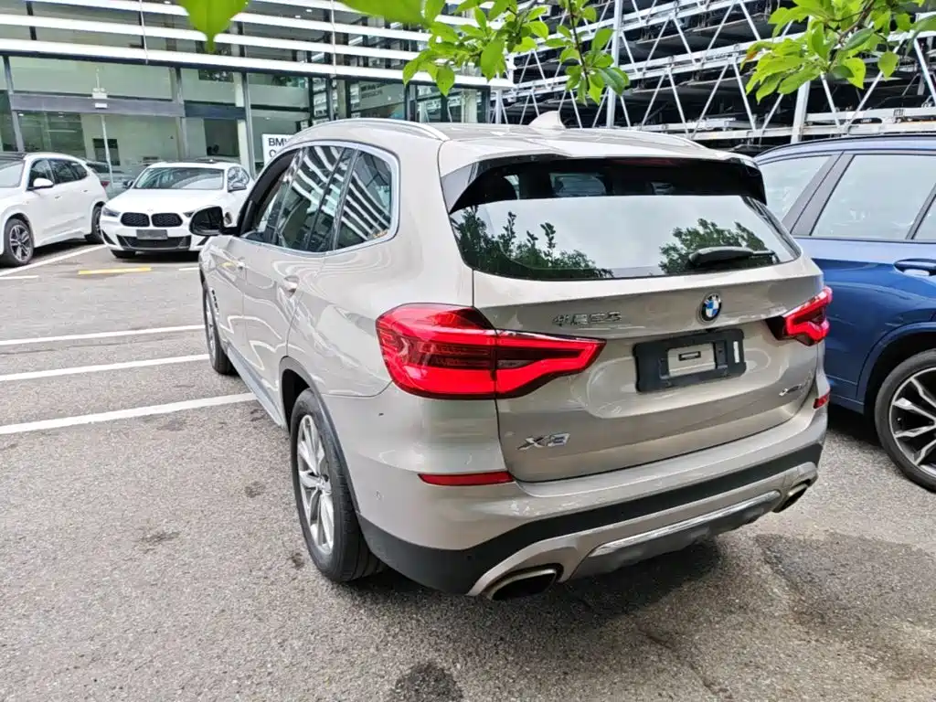 BMW X3 2018 2018 xDrive25i Luxury Package China V