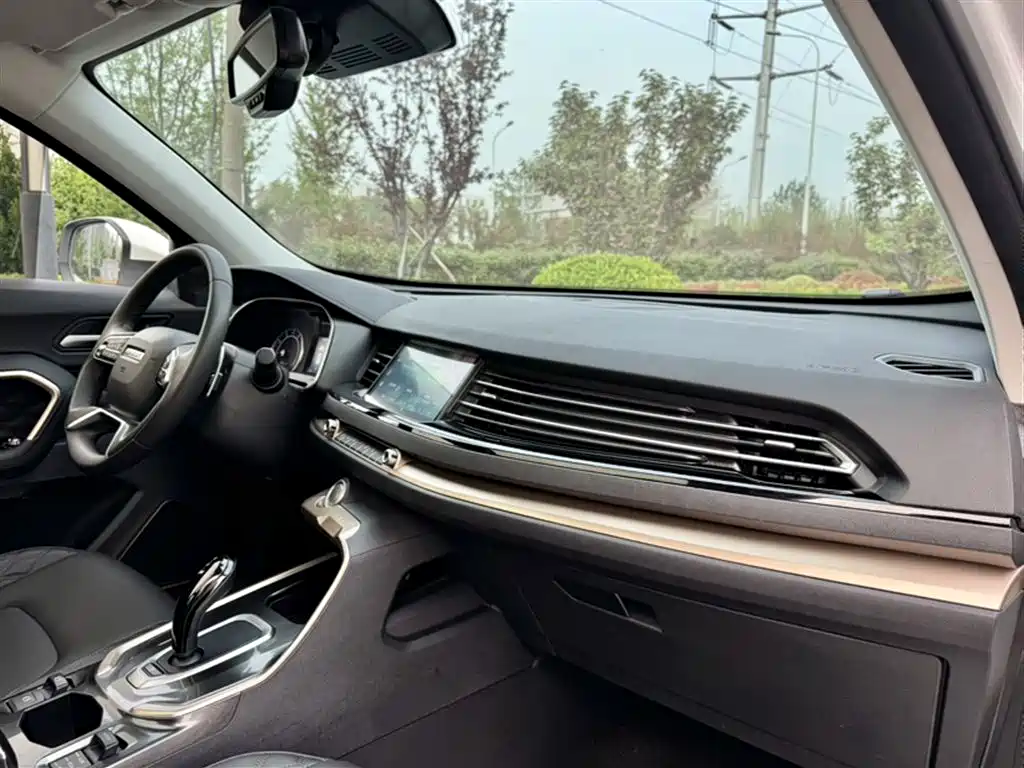 Haval H6 2020 1.5GDIT Automatic Platinum Champion Edition фото 12