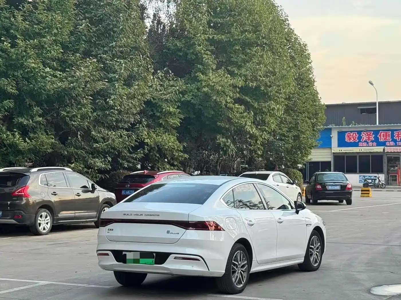 BYD Qin PLUS 2024 Glory Edition EV 510KM Leading фото 7