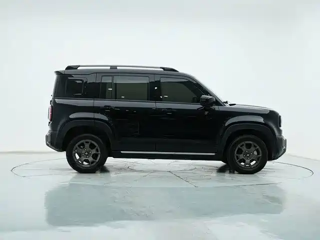 Baojun Yueye Plus 2025 2026 301km Flagship