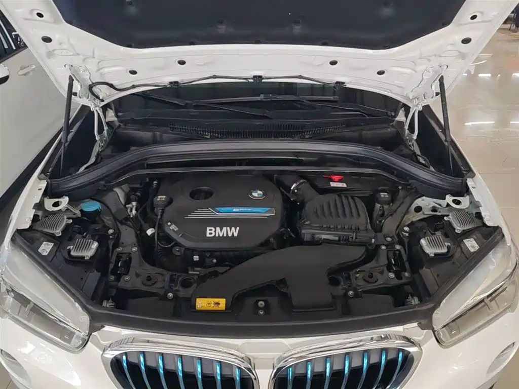 BMW X1 New Energy 2019 xDrive25Le Range Upgrade Edition фото 20