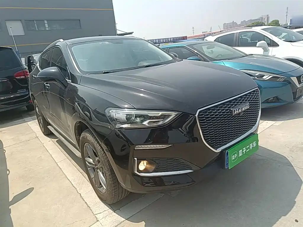 Haval F5 2019 National Trend Edition 1.5T iCool China VI фото 22
