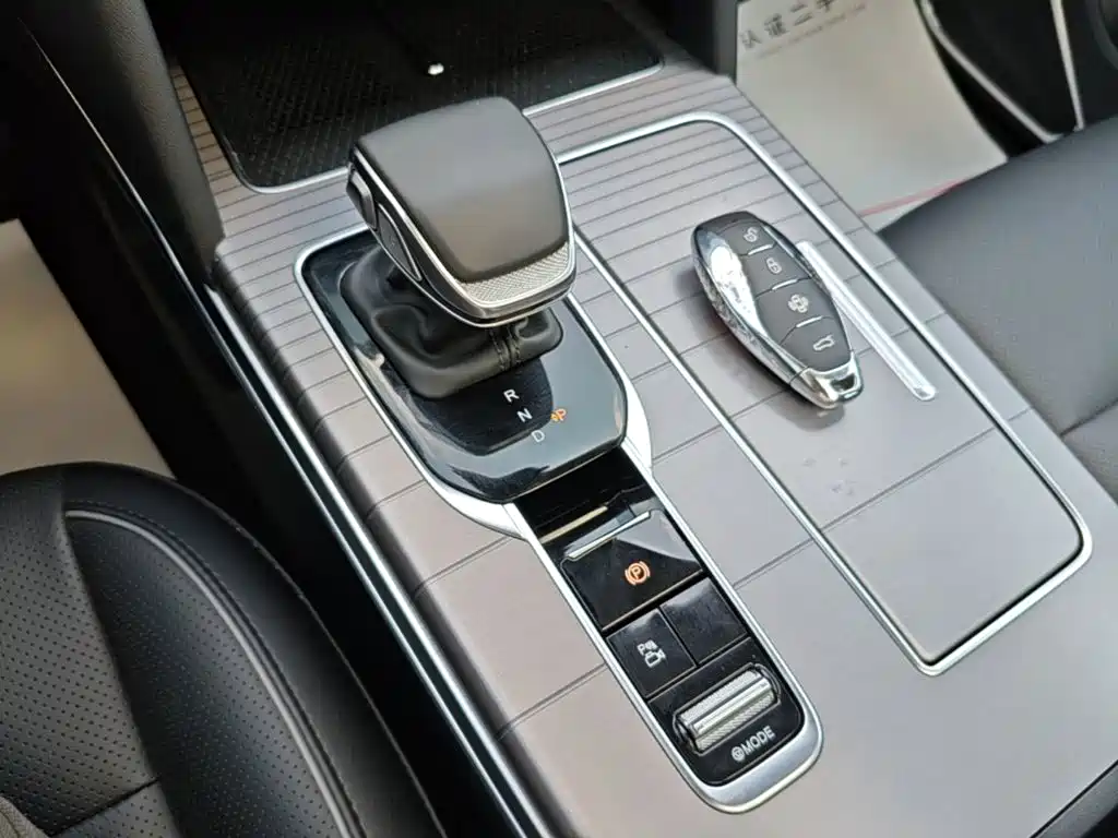 Photo 14 - Hongqi HS7 PHEV