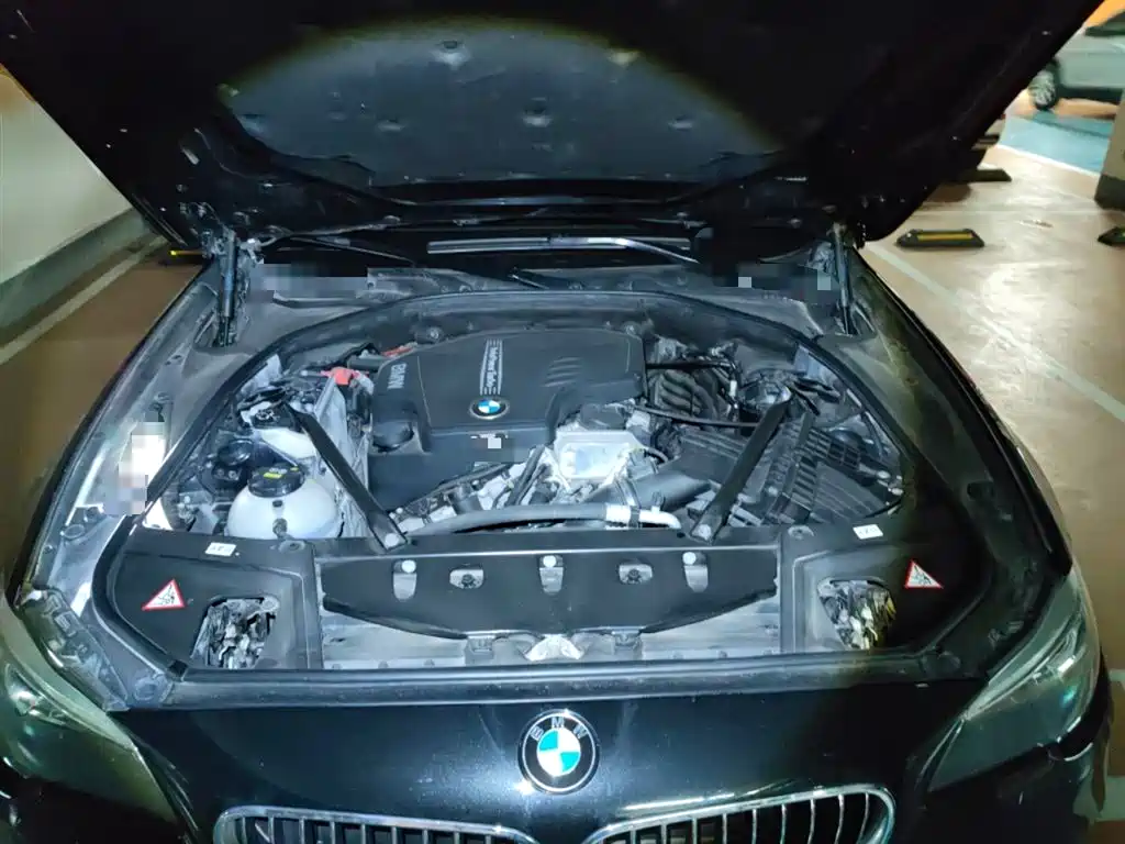 BMW 5 Series 2014 528Li Leading Edition фото 11