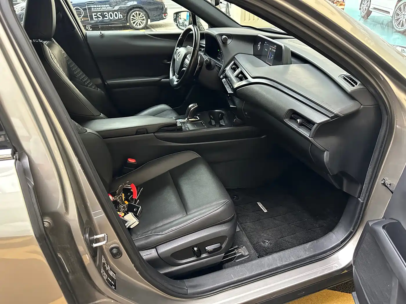 Lexus UX Electric 2021 2020 300e Pure Yue Edition