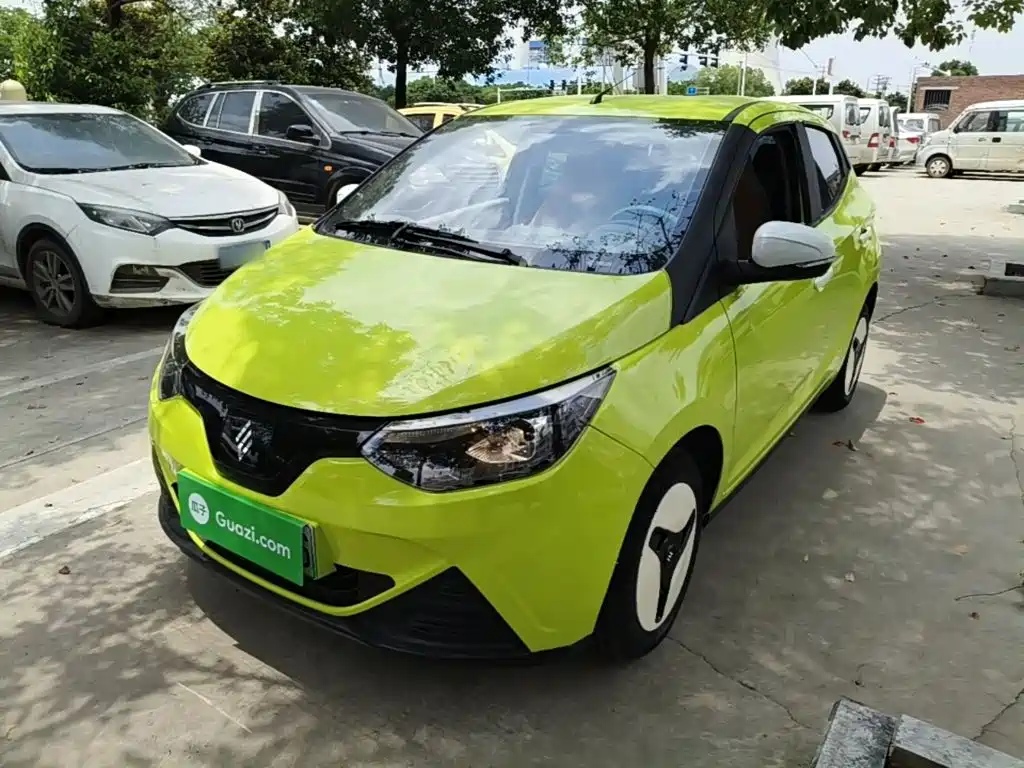 JMCG New Energy Little Kirin 2024 201km Comfort Model