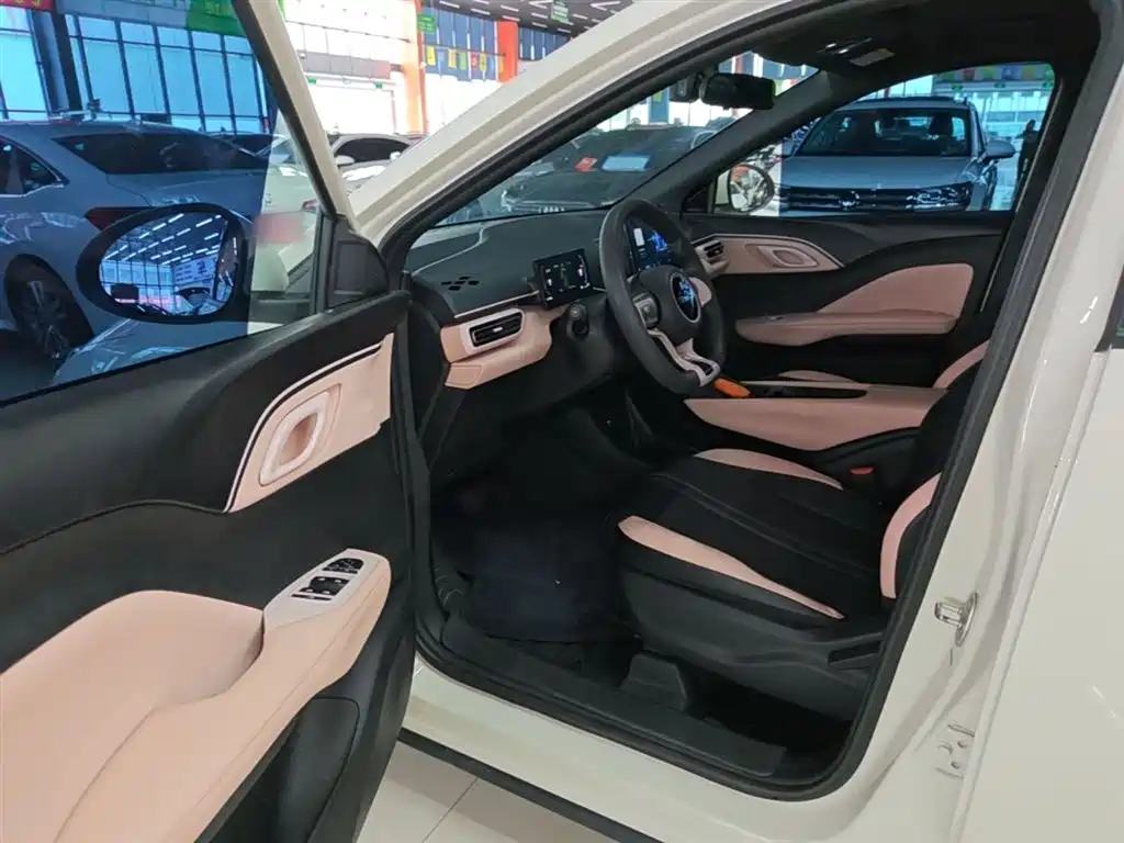 BYD Seagull 2023 Vitality Edition фото 16