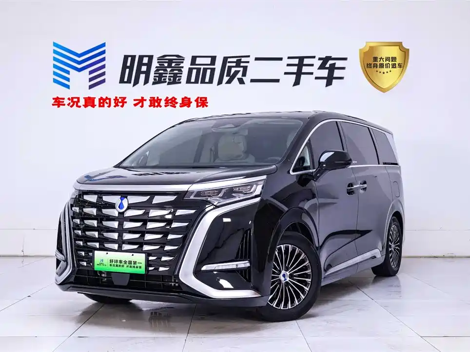 Denza D9 2024 DM-i 980 AWD Flagship