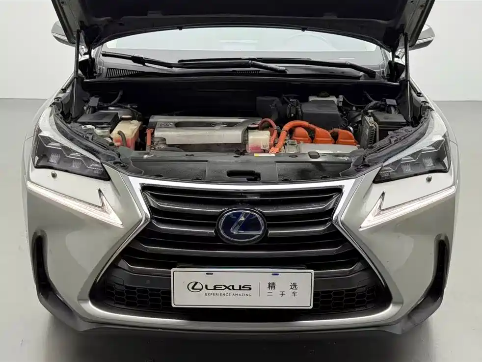 Lexus NX 2015 300h AWD F SPORT фото 3