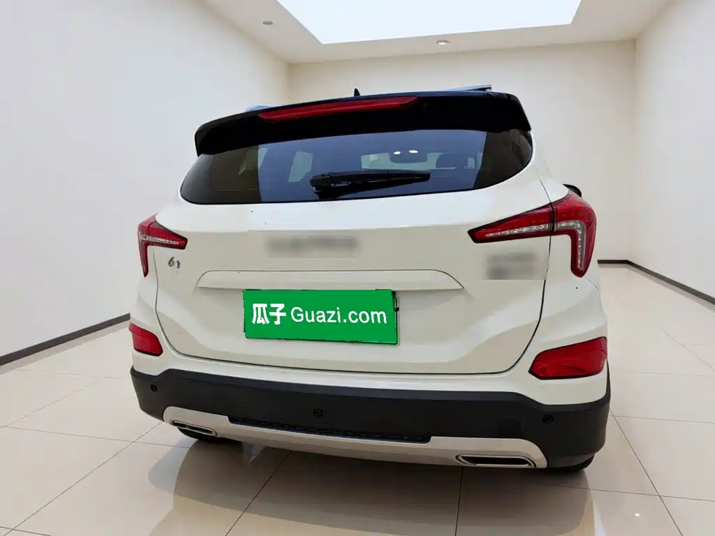 Haima 6P 2020 2021 1.2T PHEV Long Range Luxury
