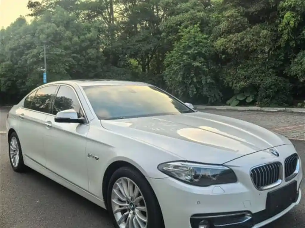 BMW 5 Series 2017 525Li Luxury Design Package фото 3