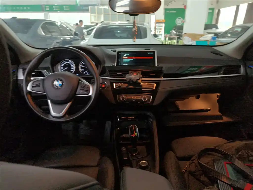 BMW X2 (Import) 2019 sDrive20i M Off-Road Package China VI фото 10