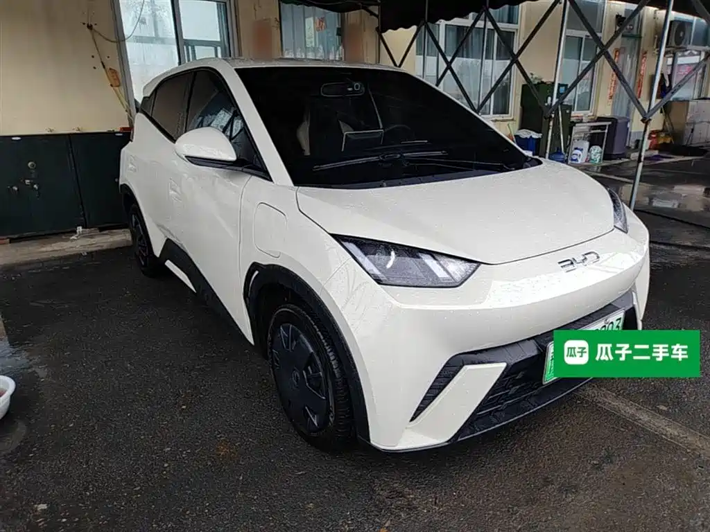 BYD Seagull 2024 Glory Edition 305km Vitality Edition фото 4