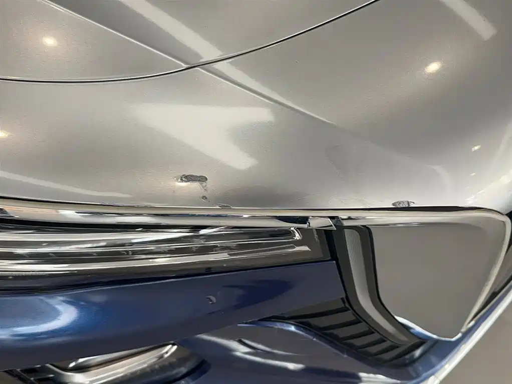 Hongqi H5 2023 2.0T Auto Smart Connect Flag Comfort фото 3