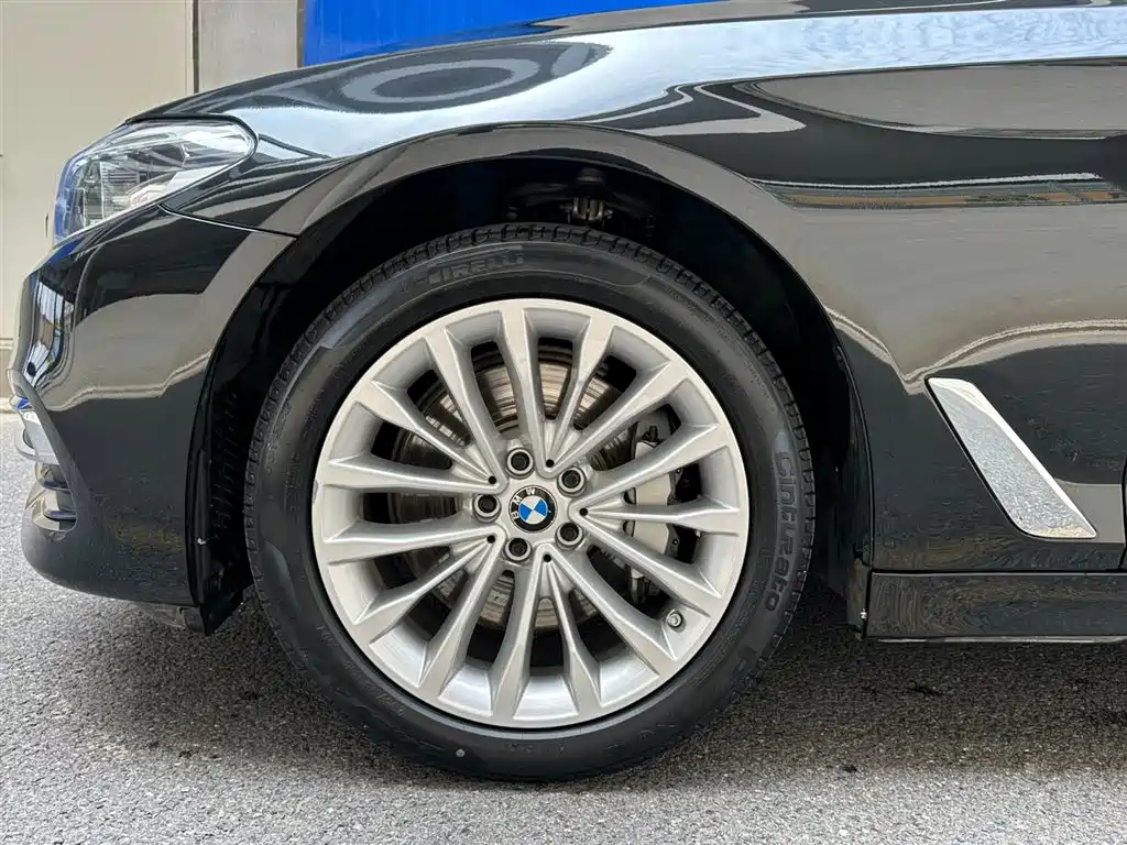 BMW 5 Series 2020 530Li xDrive Luxury Package фото 6