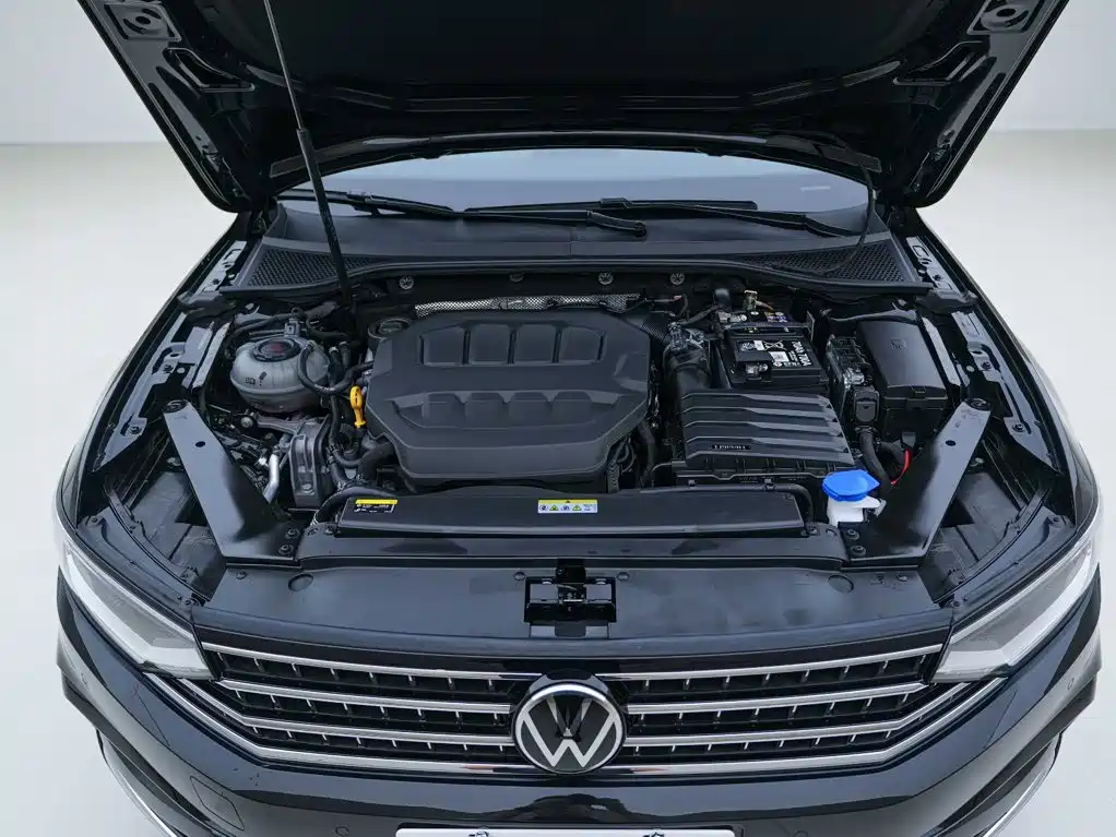 Volkswagen Magotan 2025 2025 Facelift Public Edition 330TSI DSG Luxury