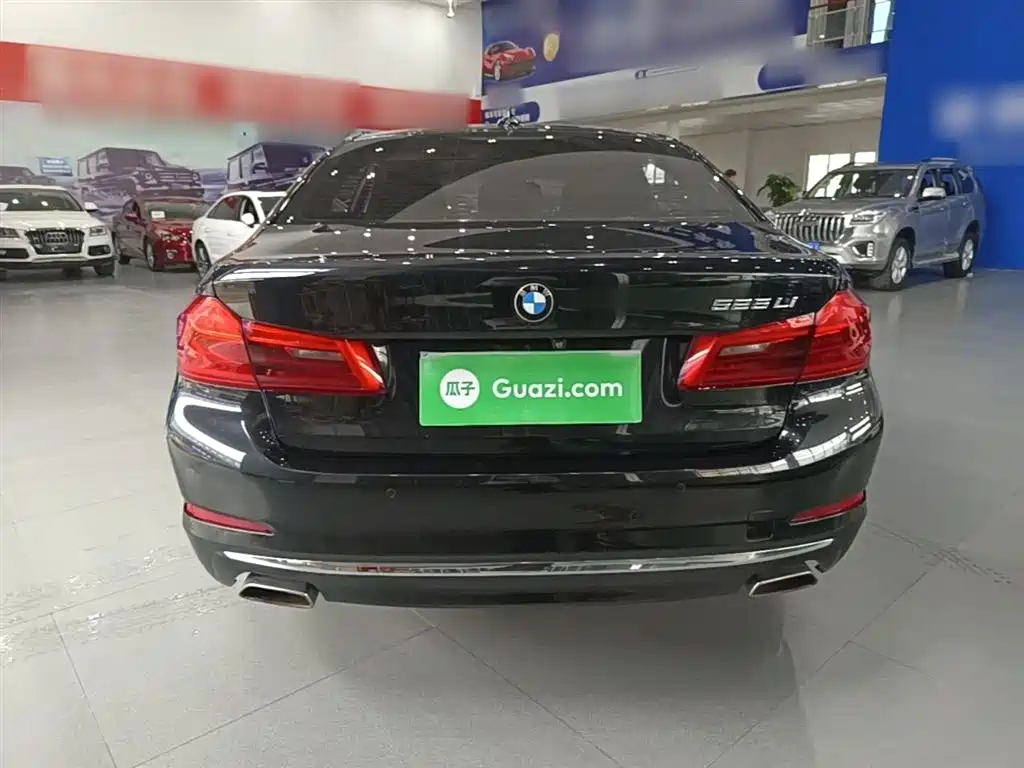 BMW 5 Series 2018 525Li Luxury Package фото 6
