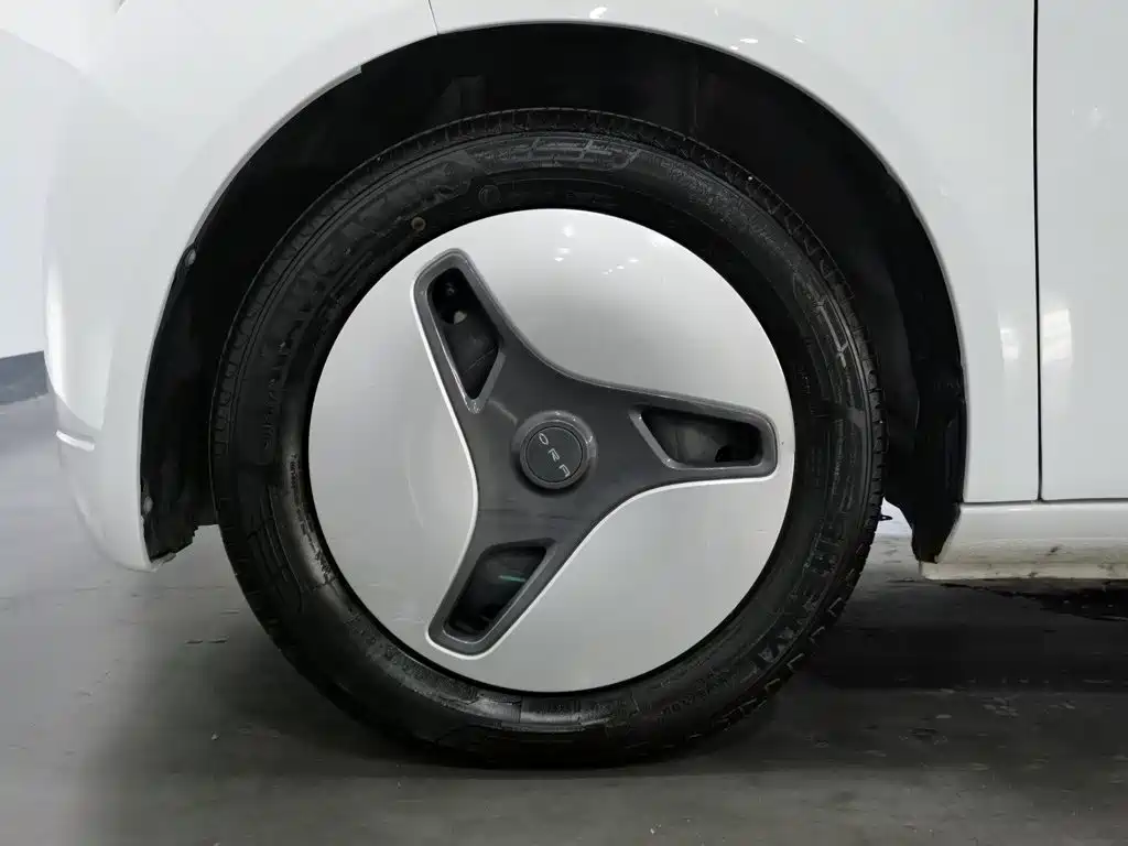 Ora White Cat 2021 2020 360km Luxury Model