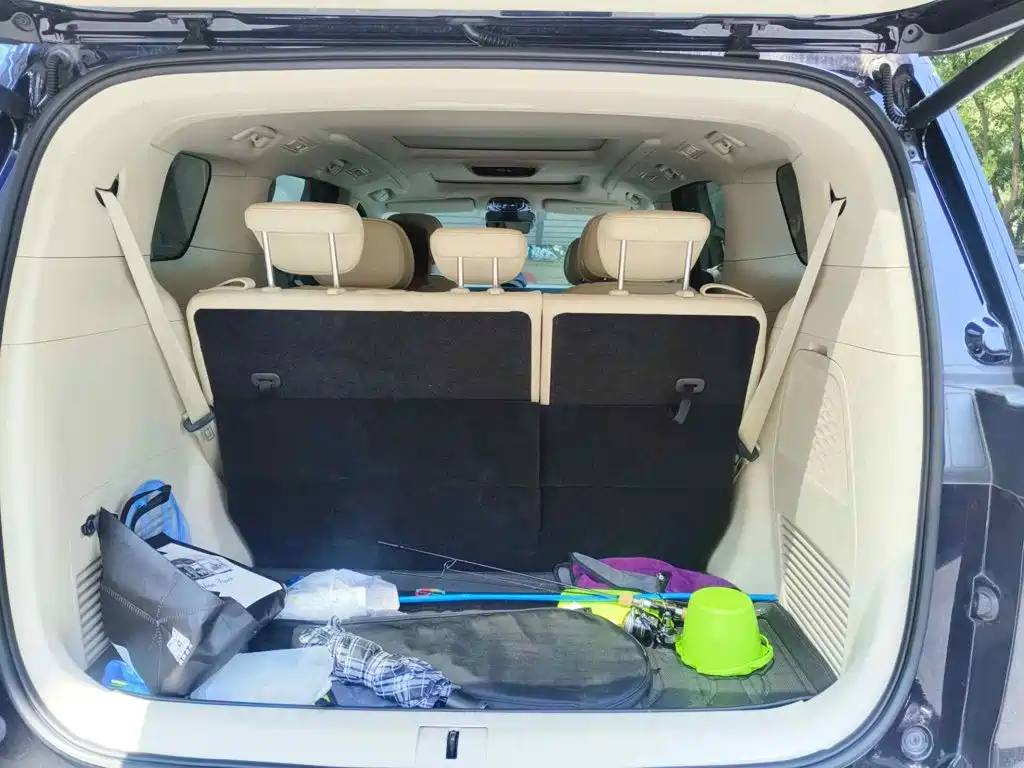 Voyah Auto Voyah Dreamer 2022 2022 Low-carbon Dream+Smart Package