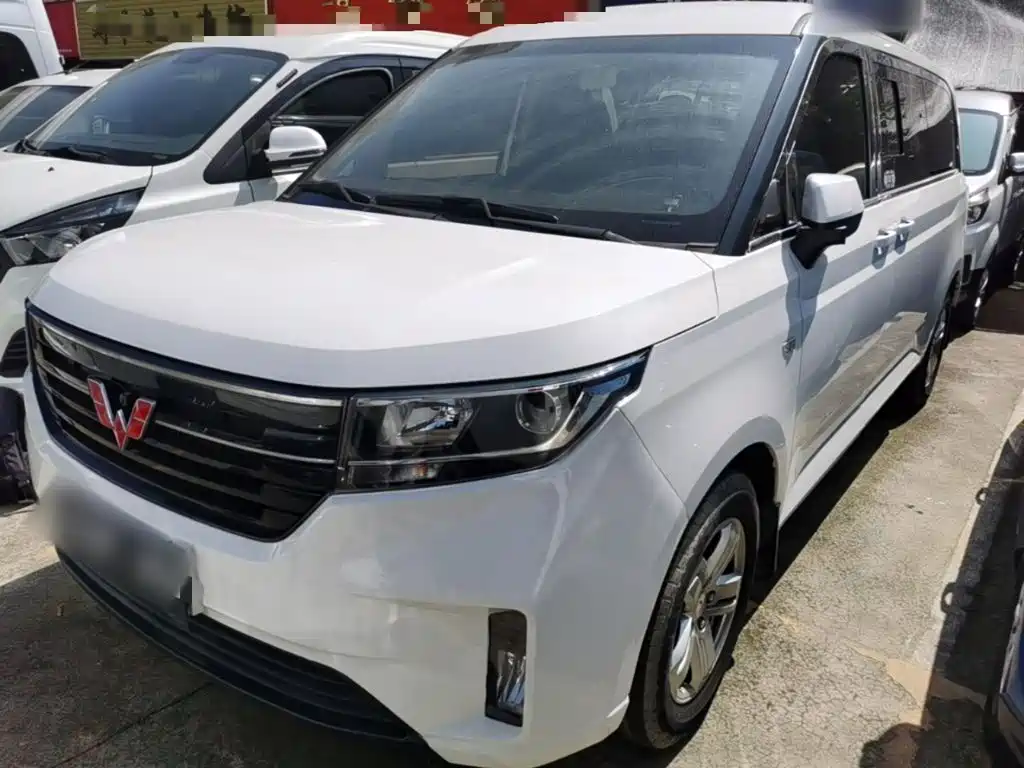 Wuling Motors Wuling Journey 2024 2021 1.5T Manual Luxury Edition