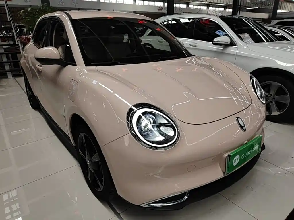 Ora Good Cat 2025 2024 401km Luxury