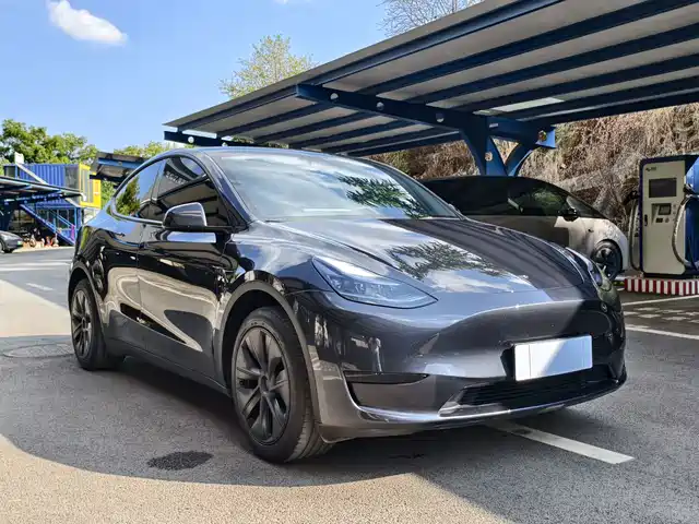 Tesla Model Y 2024 Rear-Wheel Drive Version — фото 3