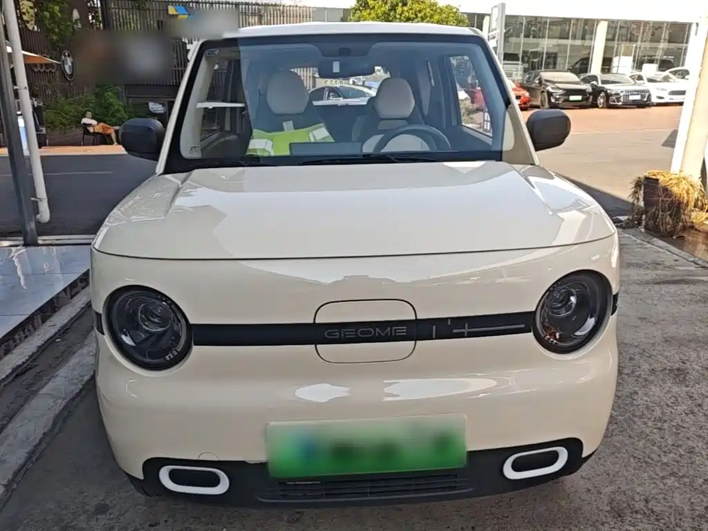 Geely Galaxy Panda 2026 2025 Panda mini 210km Vitality Bear