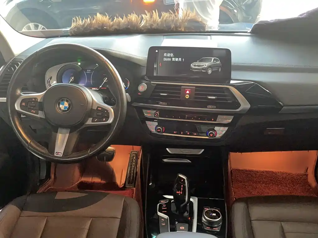 BMW X3 2018 2018 xDrive25i M Sport Package China V