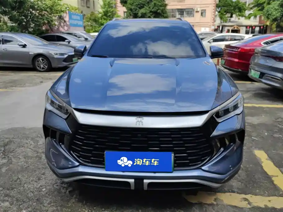 BYD Song Pro New Energy 2024 Glory Edition DM-i 71KM Pilot фото 2
