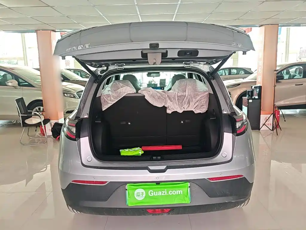Geely Galaxy Starry Wish 2026 2026 Model 310km Dream Edition