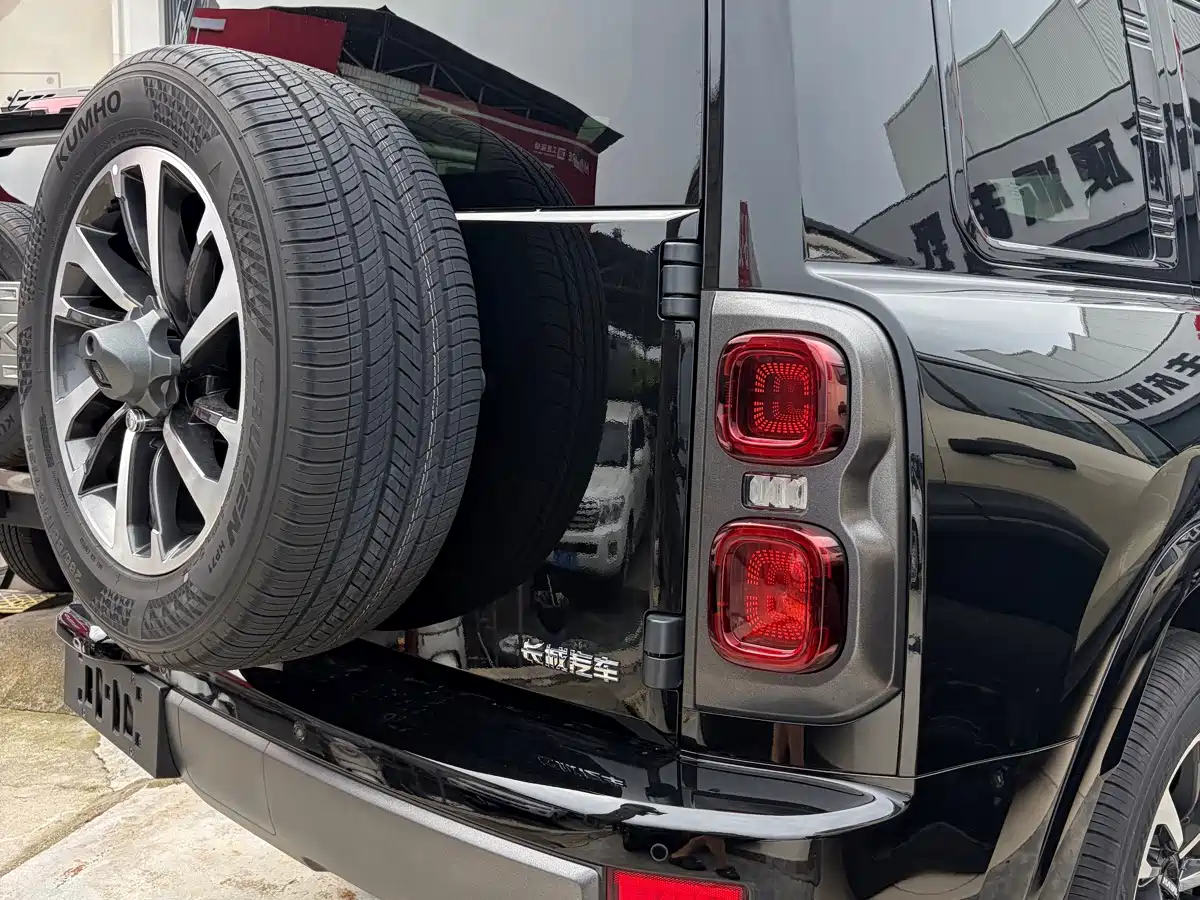 Haval H9 2025 2024 2.0T Gasoline AWD Extreme Edition